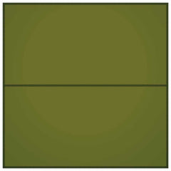 vidaXL Outdoor Tarp 4x4 m Green 3