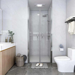 Shower Door ESG Silver Clear