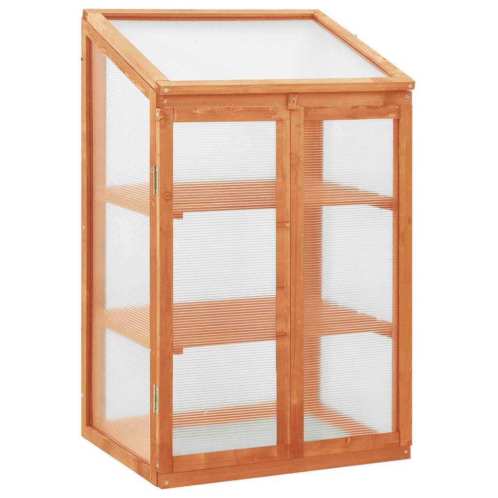 Greenhouse 60x45x100 cm Firwood Orange