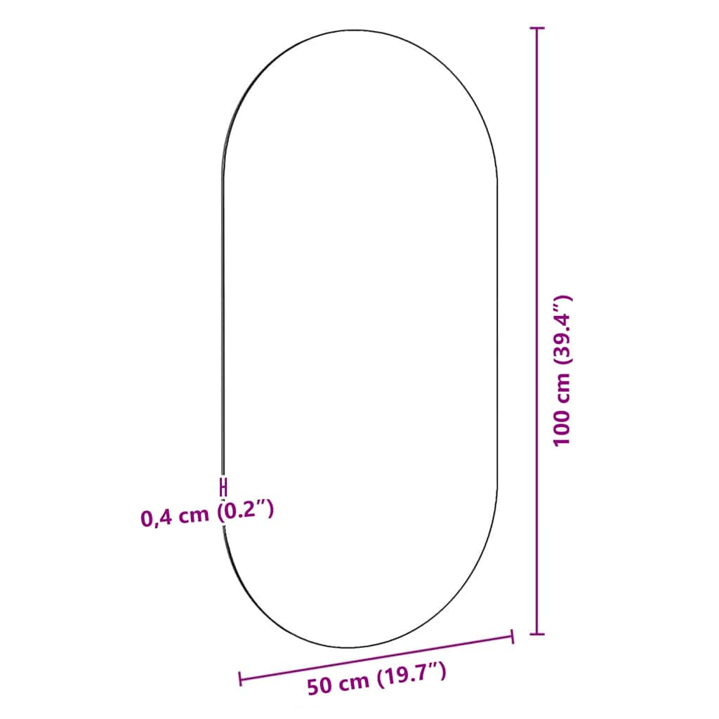 vidaXL Mirror 100x50 cm Glass 6