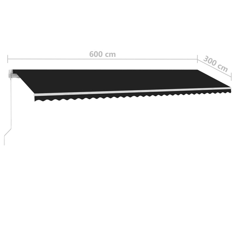 Freestanding Manual Retractable Awning 600x300 cm Anthracite