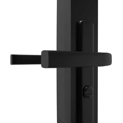Interior Door ESG Glass and Aluminium Black Black and transparent 83 x 201.5 cm 2 horizontal bars