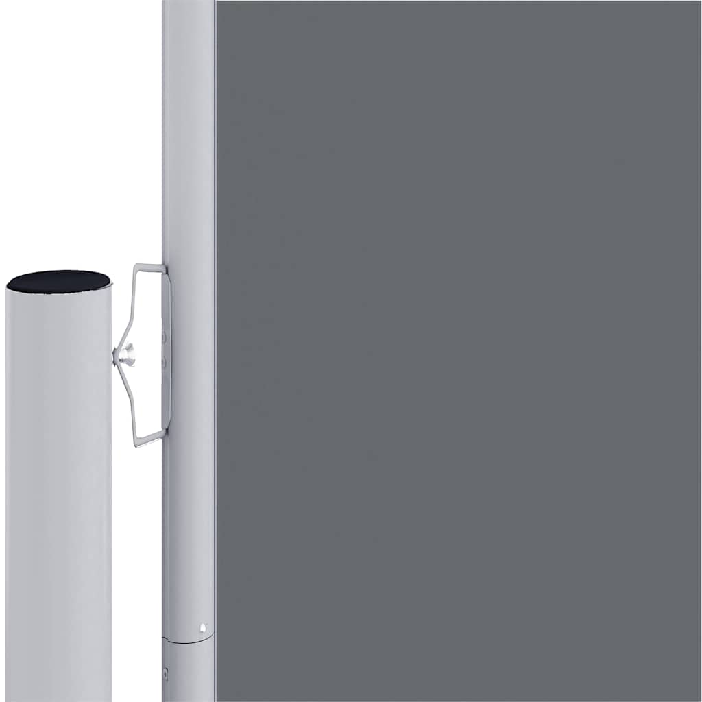 vidaXL Retractable Side Awning Anthracite 220x1000 cm 3