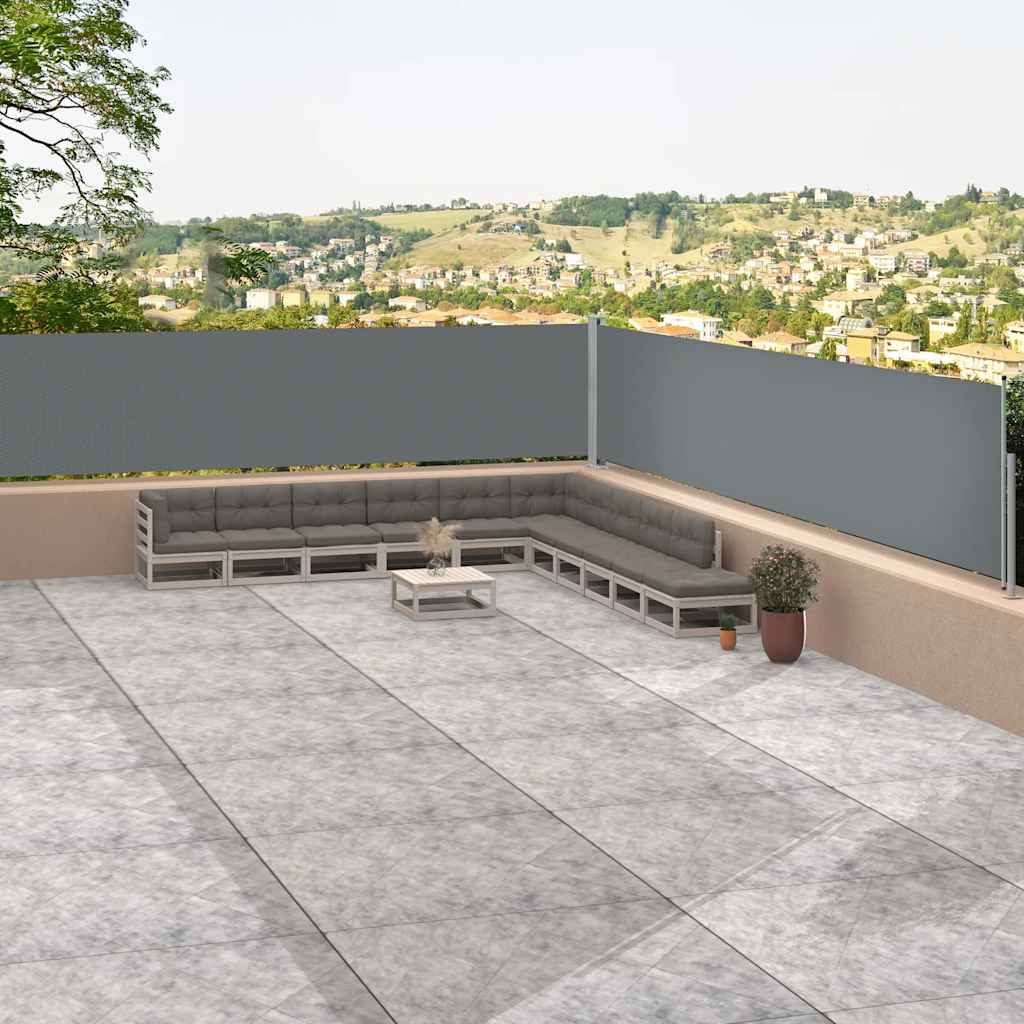 vidaXL Retractable Side Awning Anthracite 117x1200 cm 1
