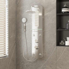 151421 vidaXL Shower Panel Unit 25x43x110 cm Silver 1