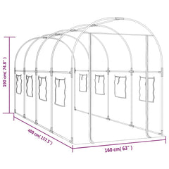 Greenhouse with Frame 160 x 200 x 192.5 cm PVC Transparent 400 cm