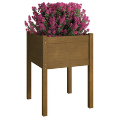 vidaXL Planter | Set of 2 | Honey Brown | Solid Pinewood | 50x50x70 cm | Durable 3