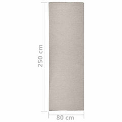 vidaXL Outdoor Flatweave Rug 80x250 cm Light Grey 6