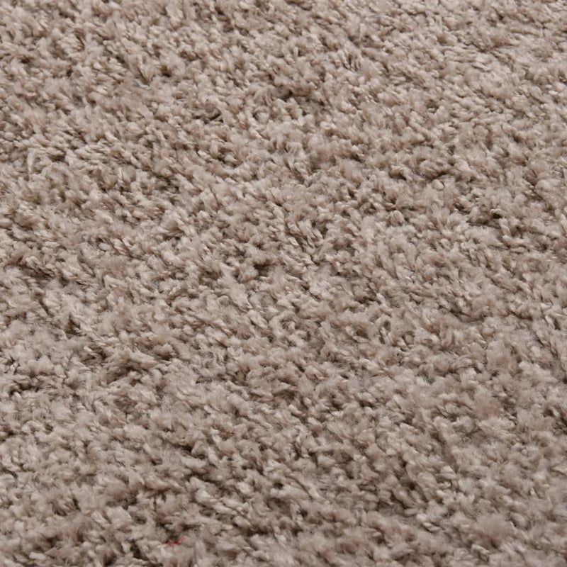 Shaggy Rug High Pile Beige 200x290 cm