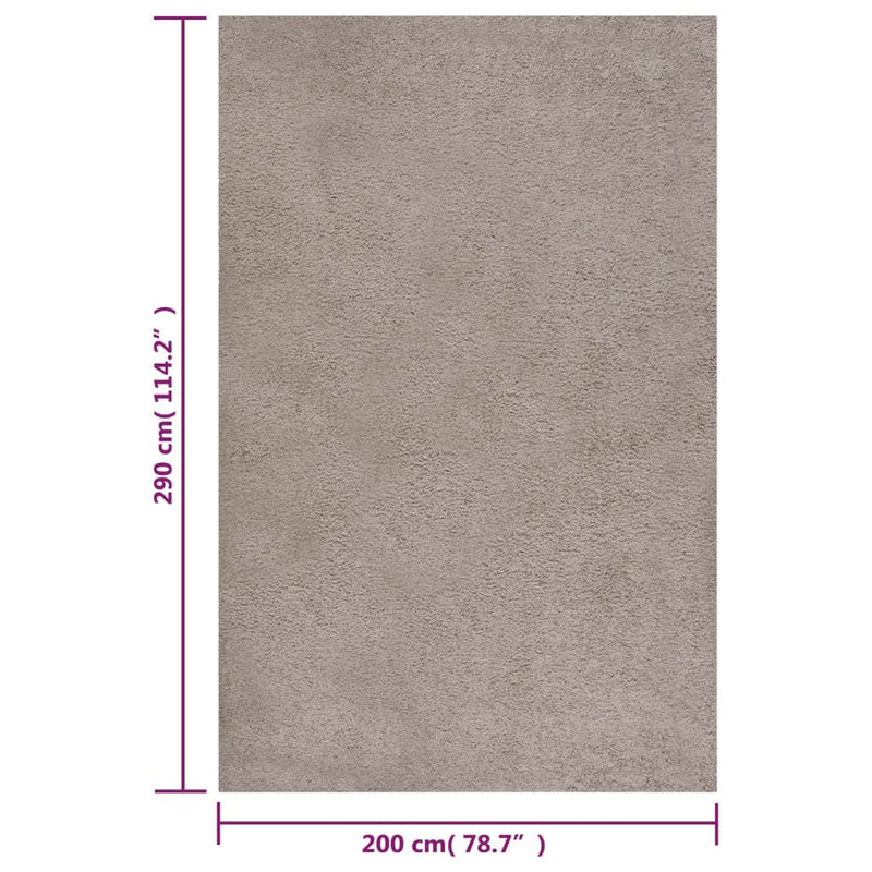 Shaggy Rug High Pile Beige 200x290 cm