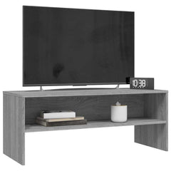 vidaXL TV Cabinet Grey Sonoma 100x40x40 cm Engineered Wood 3