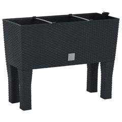 152208 vidaXL Raised Garden Bed Anthracite 60x25x46 cm PP Rattan 2