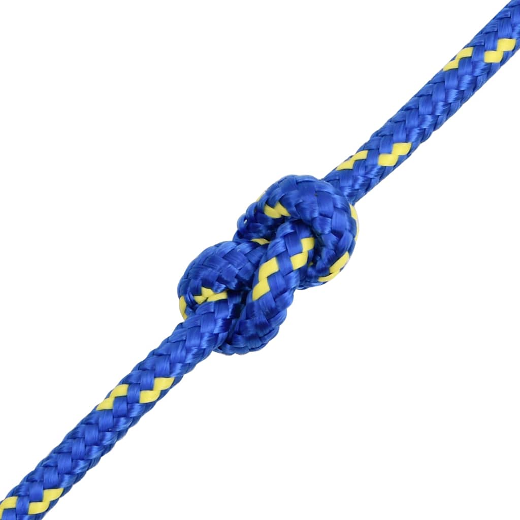 vidaXL Boat Rope Blue 6 mm 250 m Polypropylene 5