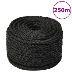 vidaXL Work Rope Black 10 mm 250 m Polypropylene 1