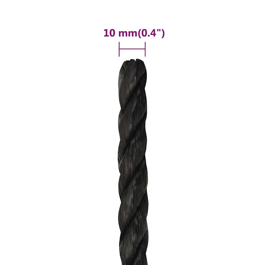 vidaXL Work Rope Black 10 mm 250 m Polypropylene 6