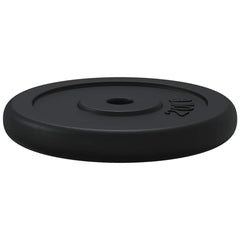 vidaXL Weight Plate 20 kg Cast Iron 6