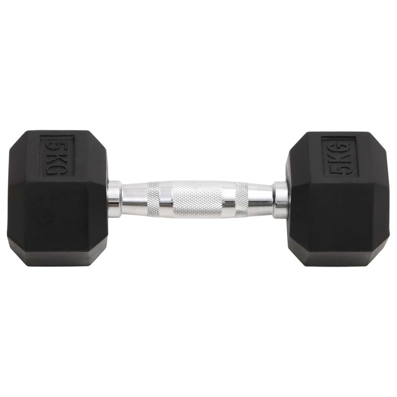 Dumbbells 2 pcs 10 kg Cast Iron