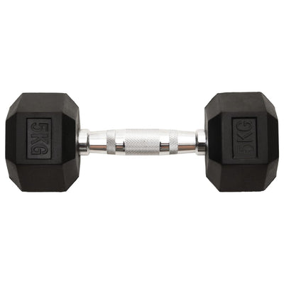 Dumbbells 2 pcs 10 kg Cast Iron