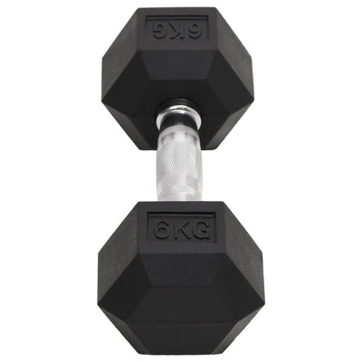 Dumbbells 2 pcs 12 kg Cast Iron