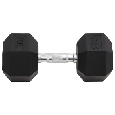 Dumbbell 20 kg Cast Iron