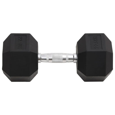 Dumbbell 22.5 kg Cast Iron