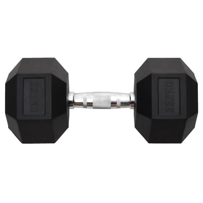 Dumbbell 22.5 kg Cast Iron