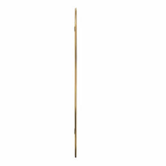 vidaXL Wall Mirror Gold 70x30 cm 4