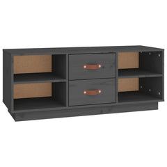 vidaXL TV Cabinet Grey 100x34x40 cm Solid Wood Pine 2