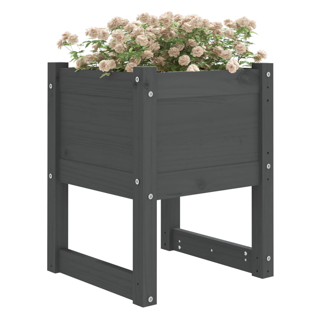 vidaXL Planters 2 pcs Grey 40x40x52.5 cm Solid Wood Pine 3