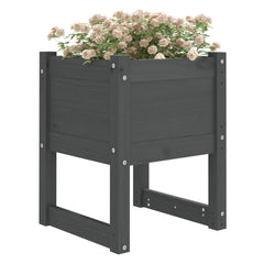 vidaXL Planters 2 pcs Grey 40x40x52.5 cm Solid Wood Pine 3