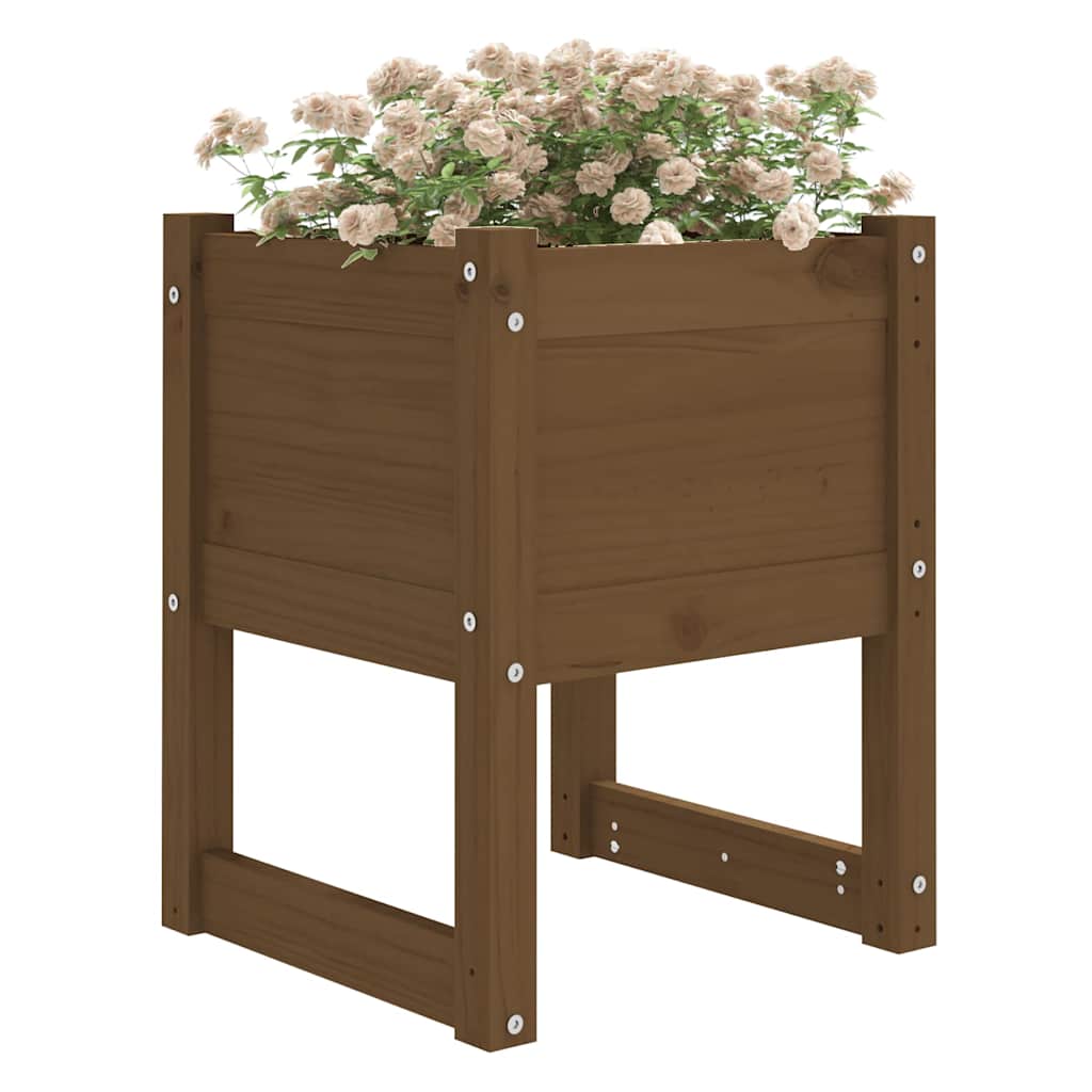 vidaXL Planters 2 pcs Honey Brown 40x40x52.5 cm Solid Wood Pine 3