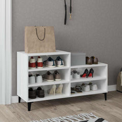 Shoe Cabinet Engineered Wood in High Gloss White