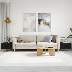 vidaXL Coffee Tables 2 pcs Black 50x50x40 cm Engineered Wood 1