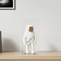 vidaXL Display Box Transparent 20x20x38 cm Acrylic 1