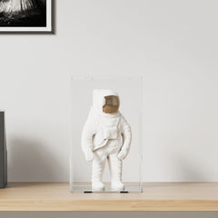 vidaXL Display Box Transparent 22x18x35 cm Acrylic 1