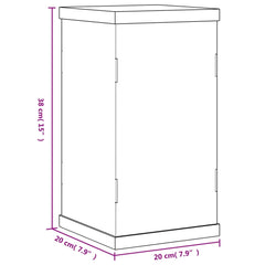 vidaXL Display Box Transparent 20x20x38 cm Acrylic 6