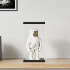 vidaXL Display Box Transparent 20x20x38 cm Acrylic 1