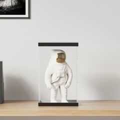 vidaXL Display Box Transparent 22x18x35 cm Acrylic 1