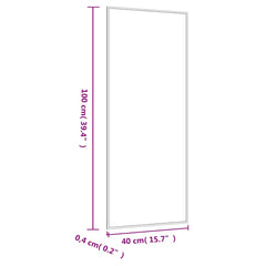 vidaXL Wall Mirror 40x100 cm Glass Rectangle 6