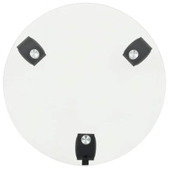 vidaXL Plant Rollers 4 pcs 28 cm Tempered Glass Round 3