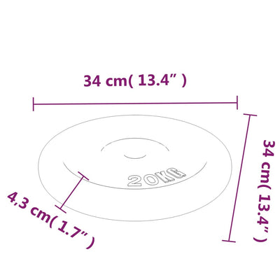 Weight Plate 40 kg Cast Iron