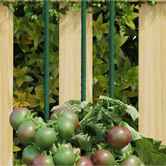 vidaXL Garden Plant Stakes 30 pcs Green 150 cm Steel 1