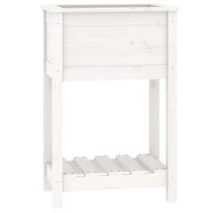 vidaXL Planter with Shelf White 54x34.5x81 cm Solid Wood Pine 2