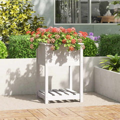 vidaXL Planter with Shelf White 54x54x81 cm Solid Wood Pine 1