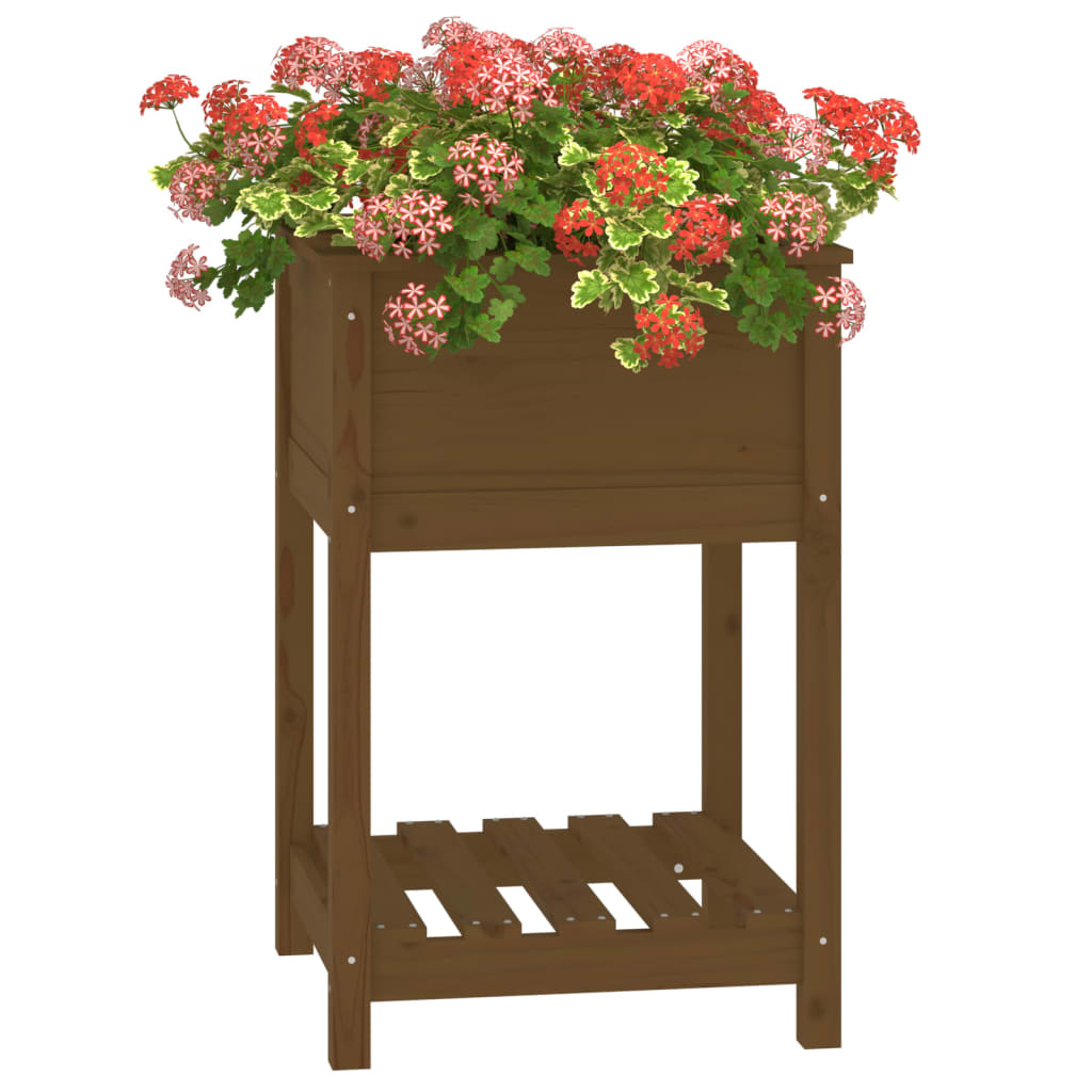 vidaXL Planter with Shelf Honey Brown 54x54x81 cm Solid Wood Pine 4