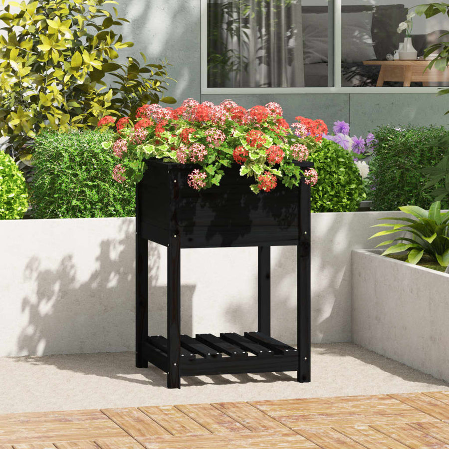vidaXL Planter with Shelf Black 54x54x81 cm Solid Wood Pine 1