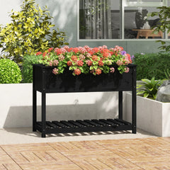 vidaXL Planter with Shelf Black 111.5x54x81 cm Solid Wood Pine 1