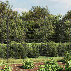 vidaXL Wire Mesh Fence Anthracite 1.6x10 m Galvanised Steel 1