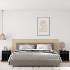 vidaXL Bedside Cabinets 2 pcs Black 43x36x50 cm 1