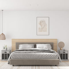 vidaXL Bedside Cabinets 2 pcs Concrete Grey 43x36x50 cm 1
